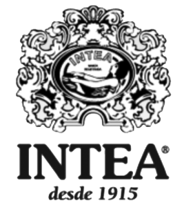 logo-intea-bn