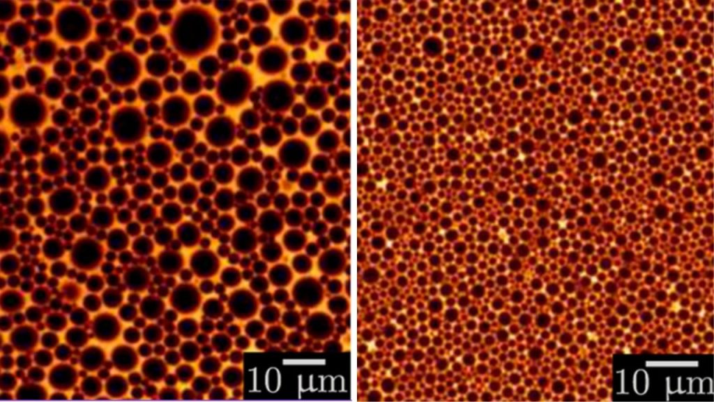 Optimising Inline Shear Geometry for Superior O/W Emulsification Performance